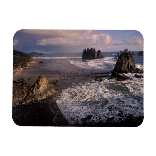Imán Norteamérica, EE. UU., Washington, Parque Nacional (Horizontal)