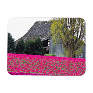 Imán Norteamérica, EE. UU., Washington, Valle de Skagit