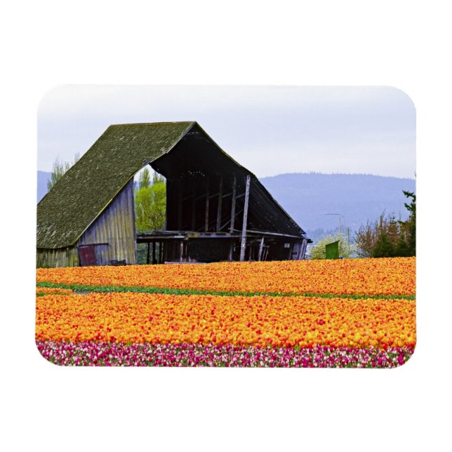 Imán Norteamérica, EE. UU., Washington, Valle de Skagit (Horizontal)