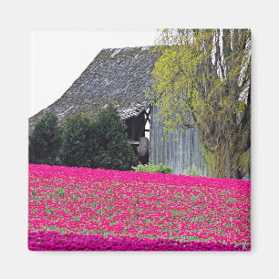 Imán Norteamérica, EE. UU., Washington, Valle de Skagit