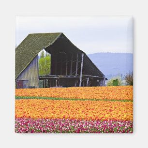 Imán Norteamérica, EE. UU., Washington, Valle de Skagit