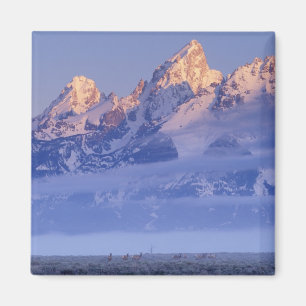 Imán Norteamérica, EE. UU., Wyoming, Parque Nacional Gr