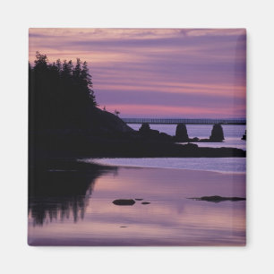 Imán Norteamérica, EEUU, ME, Isle Au Haut. Pato