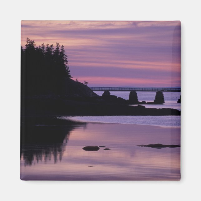 Imán Norteamérica, EEUU, ME, Isle Au Haut. Pato (Frente)