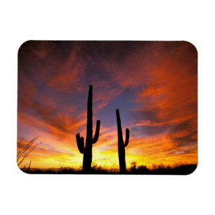 Imán Norteamérica, Estados Unidos, Arizona, desierto d