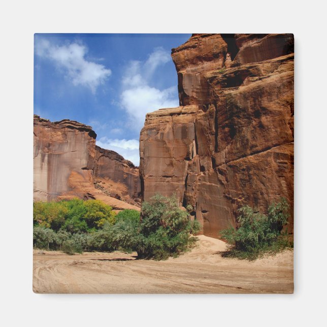 Imán Norteamérica, Estados Unidos, Arizona, indio navaj (Frente)