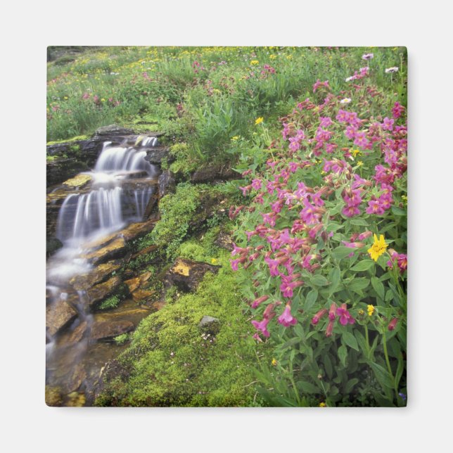 Imán Norteamérica, Estados Unidos, Montana, Glacier Nat (Frente)