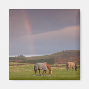 Imán Northumberland, Inglaterra