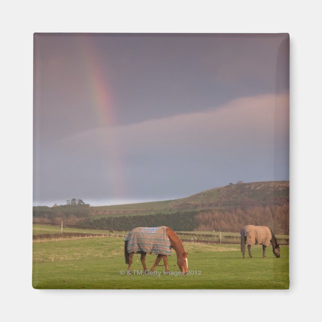 Imán Northumberland, Inglaterra (Frente)