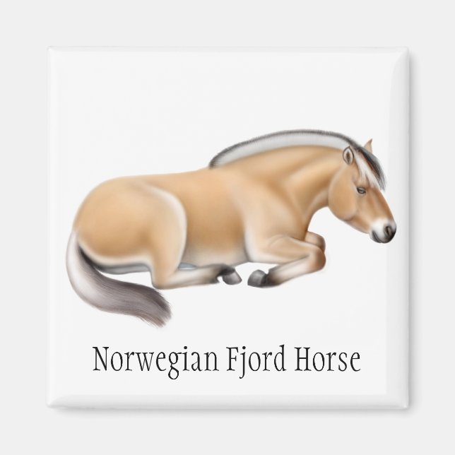 Imán noruego de Caballo de Fiordo (Frente)