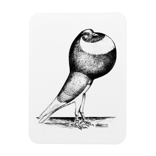 Imán Norwich Cropper 1980 (Vertical)