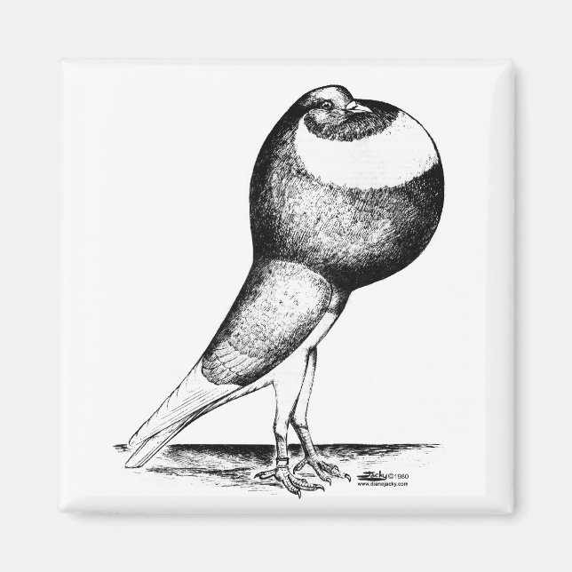 Imán Norwich Cropper 1980 (Frente)