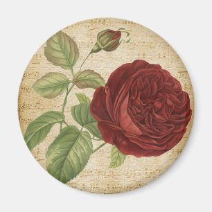 Imán Notas Musicales Pergamino Rosas Rojas Rosa Vintage