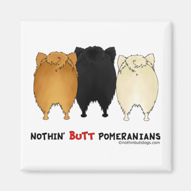 Imán Nothin' Butt Pomeranians (Frente)