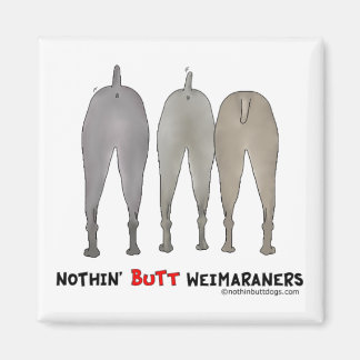 Imán Nothin' Butt Weimaraners