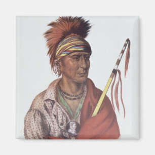 Imán Notquimina o sin corazón, un jefe de Iowa