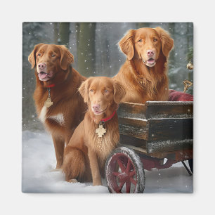 Imán Nova Scotia Duck Toller Retriever Trineo Nevado