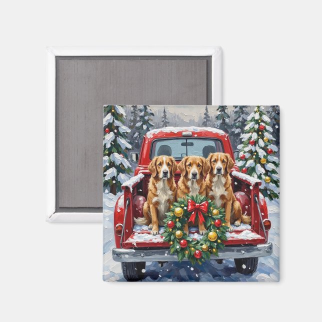 Imán Nova Scotia Duck Tolling Retriever Christmas Red (Anverso/Reverso)