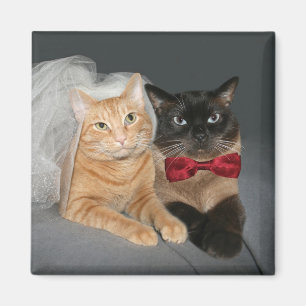 Imán Novia y novio felinos
