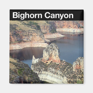Imán NRA del barranco del Bighorn