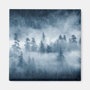 Imán Nubes de la selva tropical en el noroeste pacífic