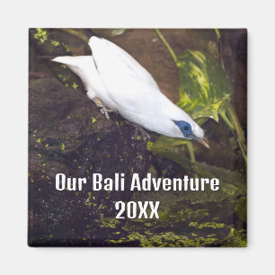 Imán Nuestra Aventura en Bali 2026 Arte de Pájaro Myna 
