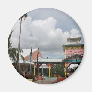 Imán Nuestra isla de Bahama magnífica del puerto franc
