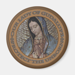IMÁN NUESTRA SEÑORA OF GUADALUPE PROTEGE EL NONATO