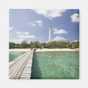 Imán Nueva Caledonia, Isla Amedee. Pier Islet Amedee.