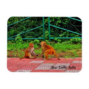 Imán Nueva Delhi, India