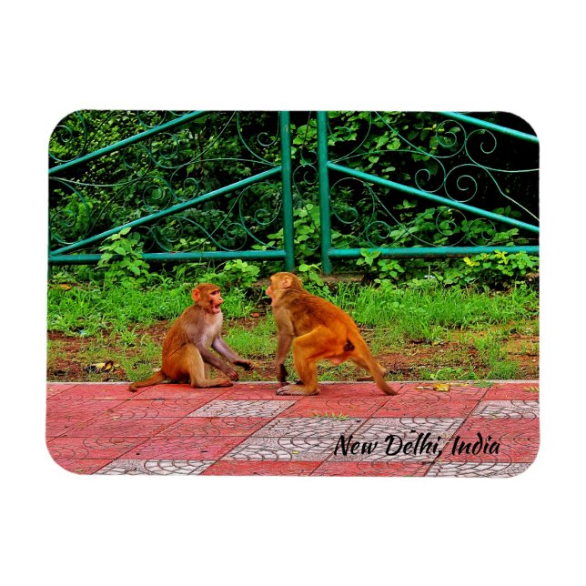 Imán Nueva Delhi, India (Horizontal)