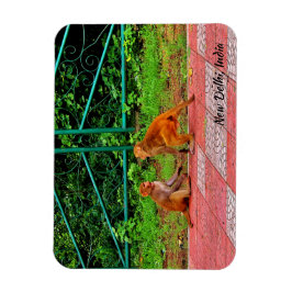 Imán Nueva Delhi, India