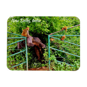 Imán Nueva Delhi, India