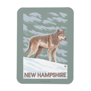 Imán Nueva escena de HampshireWolf
