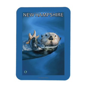 Imán Nueva escena de la nutria de HampshireSea