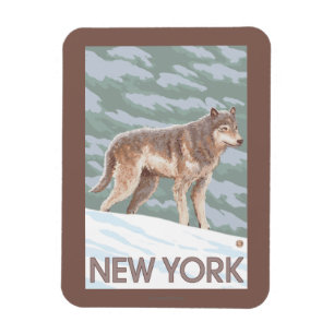 Imán Nueva escena de YorkWolf