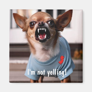 IMÁN NUEVA JERSEY HUMOR CHIHUAHUA FRIDGE