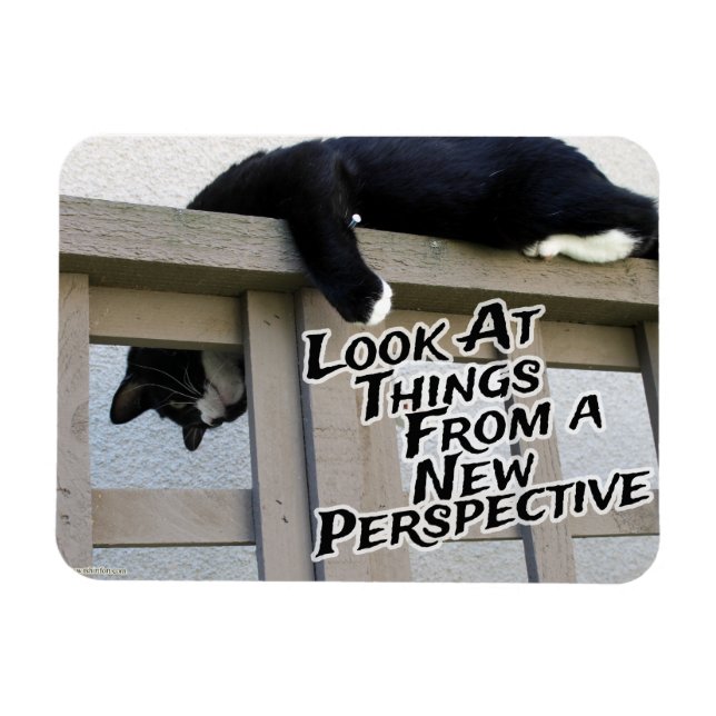 Imán Nueva perspectiva (Horizontal)