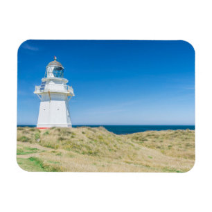Imán Nueva Zelanda, Isla del Sur, Catlins, Waipapa