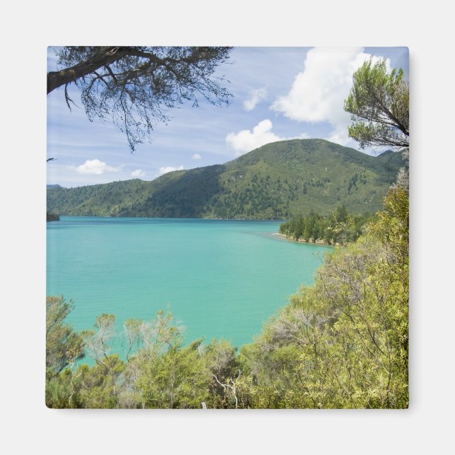 Imán Nueva Zelanda, Isla del Sur, Marlborough Sounds. (Frente)