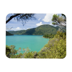 Imán Nueva Zelanda, Isla del Sur, Marlborough Sounds.