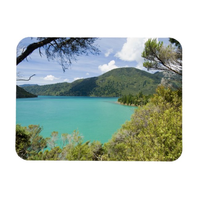 Imán Nueva Zelanda, Isla del Sur, Sonidos Marlborough. (Horizontal)