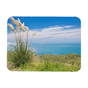Imán Nueva Zelanda, Isla Norte, Cabo Reinga