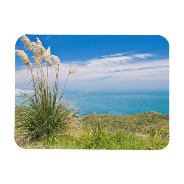 Imán Nueva Zelanda, Isla Norte, Cabo Reinga (Horizontal)