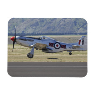 Imán Nueva Zelanda, Otago, Wanaka, aves de guerra mayor