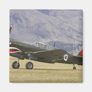 Imán Nueva Zelanda, Otago, Wanaka, aves de guerra mayor