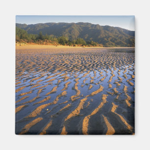Imán Nueva Zelanda, Parque Nacional Abel Tasman, Costa