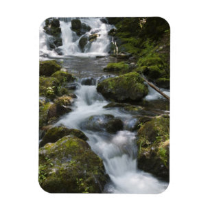 Imán Nuevo Brunswick, Canadá. Dickson Falls en Fundy