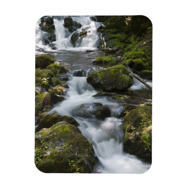 Imán Nuevo Brunswick, Canadá. Dickson Falls en Fundy (Vertical)
