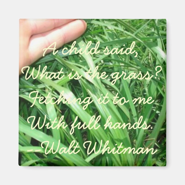 Imán Nuevo conjunto de imanes primarios 5 de 5 (mejorad (Frente)